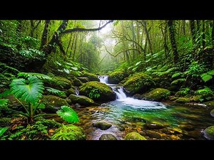 River Flowing Birds Chirping | Calm Nature Ambience to Start Your Morning with Peace - 3 HOURS
