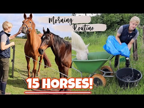 Equestrian Morning Routine! SPRING EDITION!🌸☀️