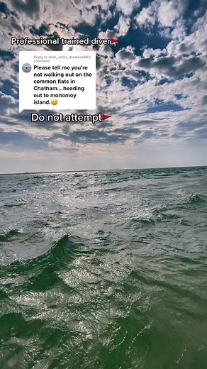 Replying to @dark_artist_dreamer90 do not attempt🚩 dangerous marine life🚩 severe rip currents🚩#capecodboy4life #greatwhiteshark #greatwhitesharks #capecodgreatwhiteshark #commonflats