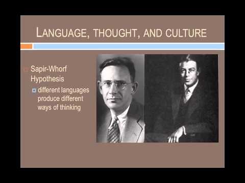 Linguistic Anthropology: Language-Brain-Culture Interactions