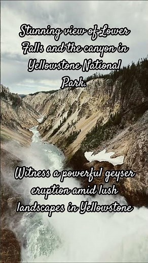Yellowstone National Park Tour |Amazing Geysers, Waterfalls & Wildlife Adventure #yellowstone #viral