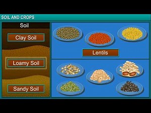 TeachNext | CBSE Grade 7 | Science | Soil and Crops
