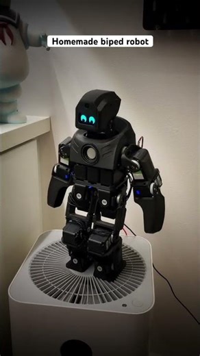 Homemade biped robot