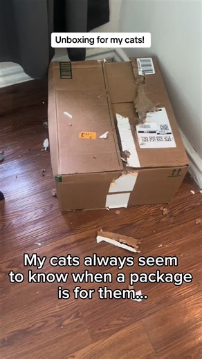 BareExprezions (@bareexprezions)’s videos with original sound - BareExprezions