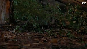 10K views · 139 reactions | GÉNESIS Capitulo 33 | La palabra del Señor | Facebook