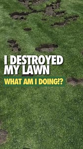 22K views · 134 reactions | I DESTROYED MY LAWN ⤵️  | I noticed a...