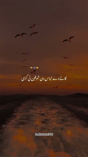 KALY JAY LABAS DI SHAKINAN KURI #aesthetic #song #viralpost #instareels #trendingtopic #insatgram