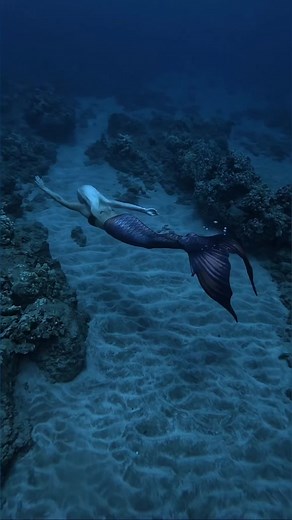 🖤 Siren of the dark sea…#siren #sirena #darkness #creepy #scary #spooky #mermaid #mertok #sirencore @Mertailor @Sky | Underwater Photographer