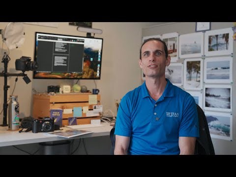 A UF/IFAS Photographers Top 3 Images from 2025