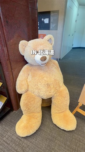 小樽観光公式アカウント👇 @小樽よいとこ（小樽観光協会） 👇この投稿からお得に予約できるよ👇 _______ 【TikTokからホテルを初めて予約する人限定】 各サイト特典！！！👀 🎁楽天トラベル→4000P還元✨ 🎁agoda→10%OFFクーポン有 🎁Trip.com→10%OFFクーポン有 ◾︎SUPや他スーパーセールも併用可 ◾︎対象ホテル:国内のホテル ◾︎付与時期は約4ヶ月後以降 ◾︎サイトによっては期間限定P ※条件※ ・1万円以上の予約 ・Tiktok経由での各サイトホテル予約が初回 ⚠️詳しくは公式サイトをみてね ↓↓↓↓ ____________ 【予約方法】 ①本文の上に出てくる「ホテル名」(場所タグ)をクリック ②好きなサイトをクリック ③チケットを選択 ④日にちを指定して予約で完了！ ⚠️限定クーポンがある場合は、 事前にコピーして購入時の画面に貼り付けて つかってね！ 通常通り各サイトのポイントも入るよ！ 例)楽天はSUPや買いまわり等も対象 ____________ #goで素敵な旅キャンペーン #北海道 #温泉 #PR #TikTokGO