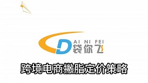 亚马逊定价策略——撇脂定价