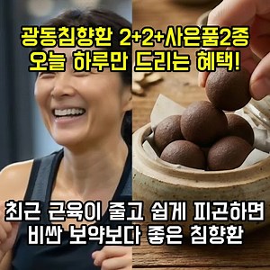 광동침향환: 기력 보강과 활력 증진