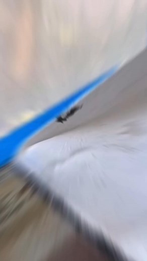 Paint Work #paint #color #windows #homedecor #roomdecor | Meharban Kathat