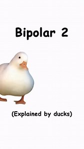 36K views · 3K reactions | Bipolar 2 (explained by ducks) | Diploma Duck | Facebook