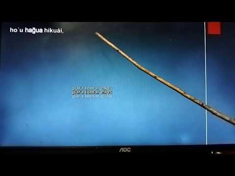 We continue with more Guarani lessons