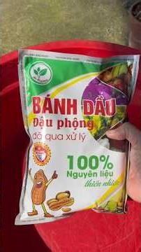 Cho cây ăn bánh dầu đậu phộng #banhdaudauphong #bonsai #fertilizer #phanbonhuuco #viral