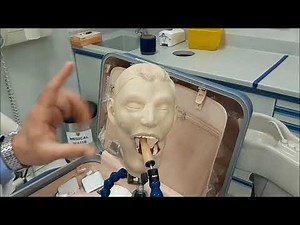 Upper Molars Angle Bisecting Technique