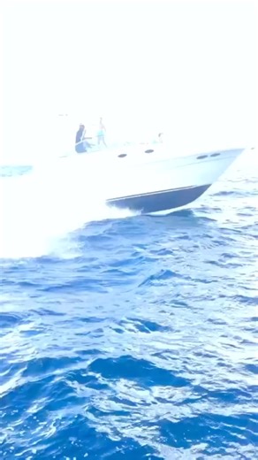 Swithe on Reels