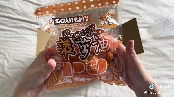 Unboxing a $50 Mystery Squishy Package Experience