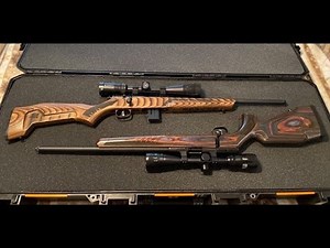 Shooting the Savage B17 BNS-SR and the 93 Minimalist in 22 WMR