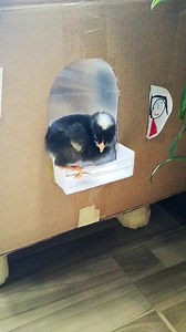 12 reactions | Stepping into Spring like... | Pinewood American International School | Facebook