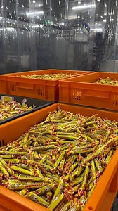 A Bondues, près de Lille, le confiseur fabrique plusieurs bonbons dont le célèbre bâtonnet connu pour les blagues sur son emballage. Plus de 5000 tonnes ont été vendues en 2024. | Le Figaro