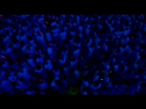 Sensation 2007 Megamix