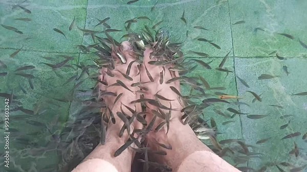 a group of fish biting feet in the water, commonly known as fish therapy Stock Video