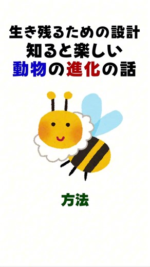 Designed for survival: A fun story about animal evolution