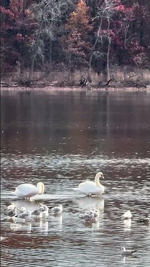 Hempstead Lake State Park, NY