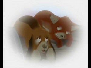 Cap und Capper; Lemon tree