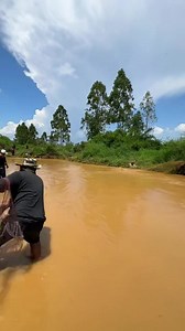 307K views · 10K reactions | Traditional Khmer Fishing Using Cast Nets #fishing #catching #castnetfishing #reels | អ្នកភូមិខ្ញុំ - My Village | Facebook