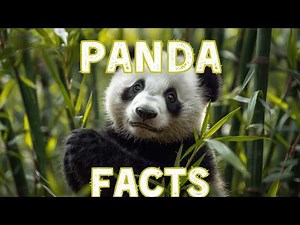20 Shocking Panda Facts You Won’t Believe 🐼