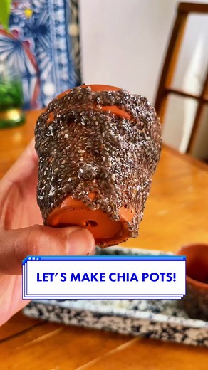 Chia Seed Potting: A Beginner's Guide
