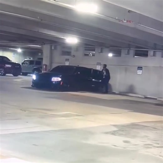 Citizen App | Safety on Instagram: "Security footage captured a man dumping a severely ill puppy in a garage in Palm Beach County. The dog was rescued and is being treated. #citizen #citizenapp #protecttheworld #palmbeach Video courtesy of @charadogs"