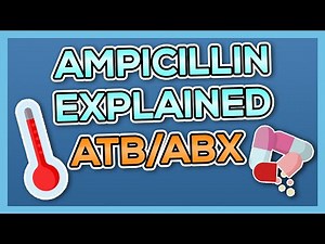 Ampicillin (Ampicin) Nursing Drug Card (Simplified) - Pharmacology