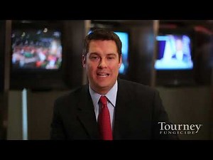 Anthracnose Control with Tourney Fungicide