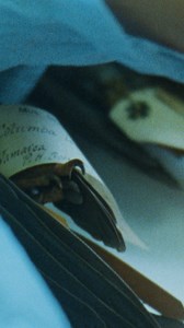 Open City Documentary Festival 2023 marks the second year of an...