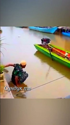 Встречи с дикими и опасными #animals