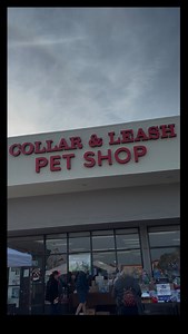 Our @caninecaviar team is having a wonderful time being a part of Collar and Leash’s Holiday Pet Event! It’s always a joy to connect with passionate pet parents and their furry friends, spreading the holiday spirit and sharing our mission for holistic pet health. 💚 Thank you to the Collar and Leash team for hosting such a fantastic event—it’s moments like these that remind us of the incredible pet-loving community we’re proud to be part of. Wishing you and your pets a season filled with love, j