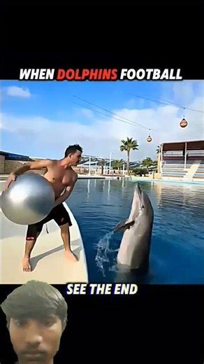 Unbelievable! Dolphin Scores with a Perfect Bicycle Kick#wildlife #shorts#trending#animals