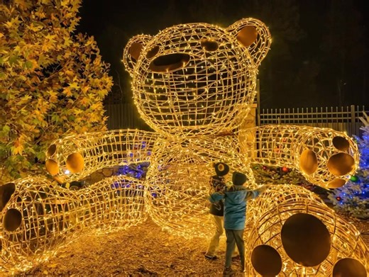 11K views · 49 reactions | ✨ Big Bear Just Got a Whole Lot Brighter!...