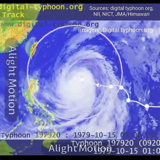 Typhoon tip (Warling) | Satellite + Best track #tropical #satelliteimagery