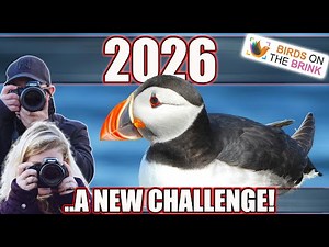 Our Biggest Challenge Yet | 2026 Big Year for Charity