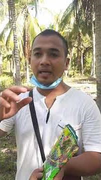 Effective application ni grand humus plus