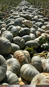 38K views · 888 reactions | FM Gospel Radio Broadcasting Network on Reels | Facebook