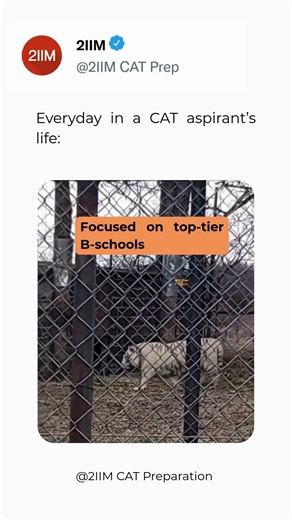 When You’re Focused on Top B-Schools 😌