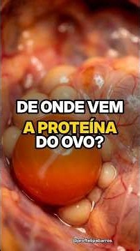 De onde vem a PROTEÍNA do ovo? 🥚 | Prof. Felipe Barros