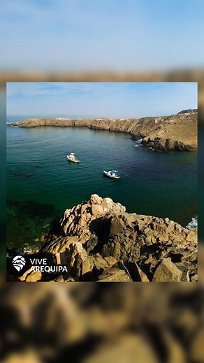 CALETA HONORATOS: PARAÍSO ESCONDIDO EN “RUTA SOLO POR MAR” Ubicada al sur de Quilca, la caleta de Honoratos emerge como un destino paradisíaco de incomparable belleza y serenidad. Ideal para los amantes de la aventura, ofrece una amplia gama de actividades, desde camping hasta deportes acuáticos como Moto Sky, Kayac, Pedalón, Pesca Deportiva, Caza Submarina y Buceo. Lo más destacado reside en su aislamiento y difícil acceso, manteniéndola en un estado natural prístino, alejada de la contaminació