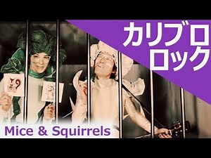 【英語のうた】 ♪カリブロロック CAULI-BRO ROCK / Mice&Squirrels | ABCブロッコリ！
